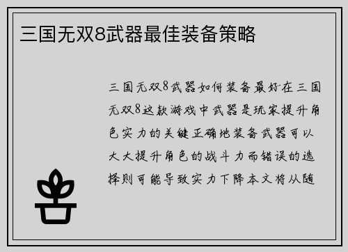 三国无双8武器最佳装备策略